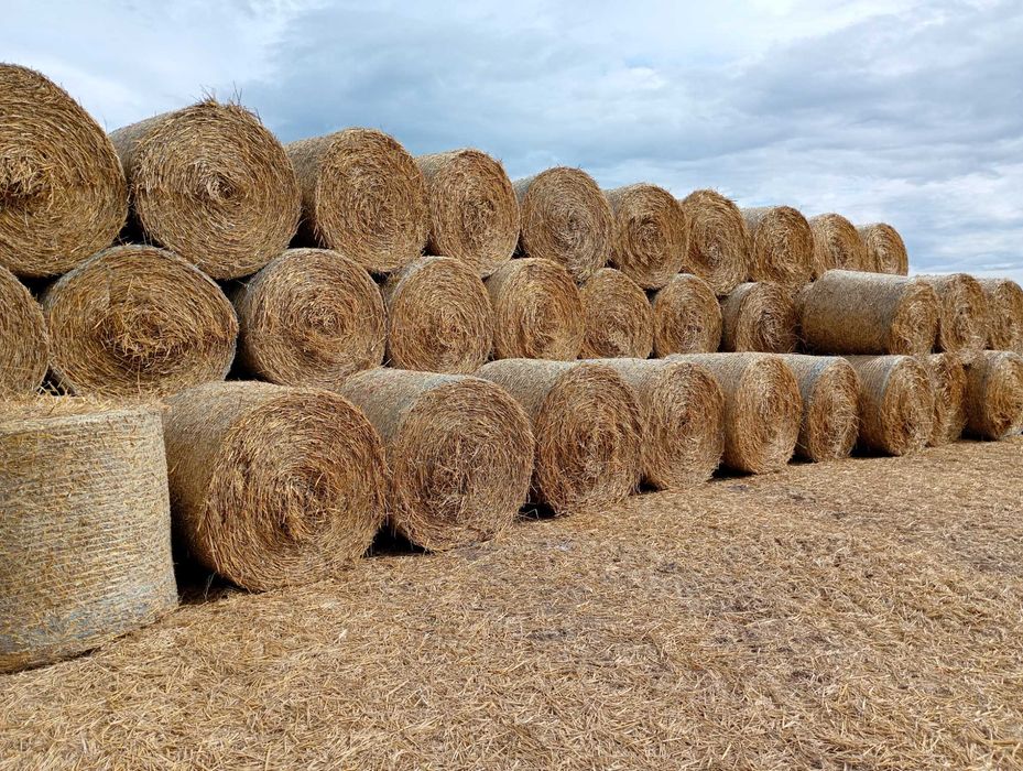 Słoma baloty,ściółka,podłoże,biomasa,opał