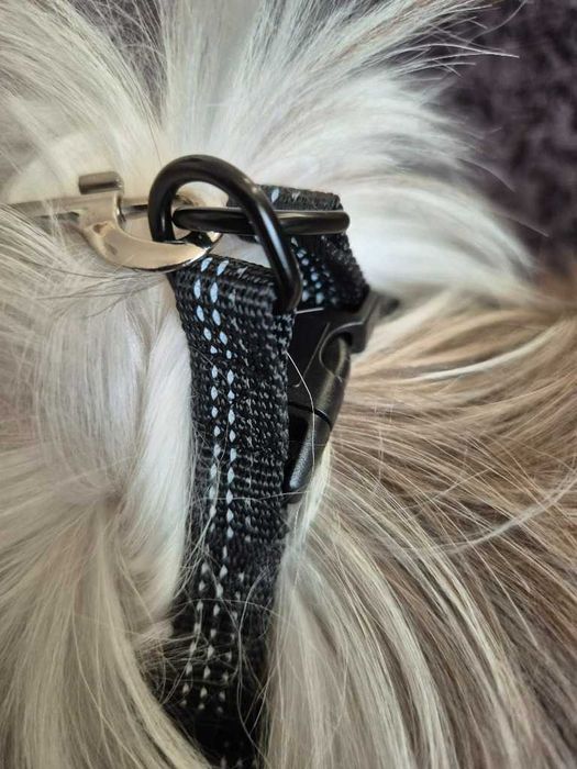 Regulowane Czarne Szelki dla Psa