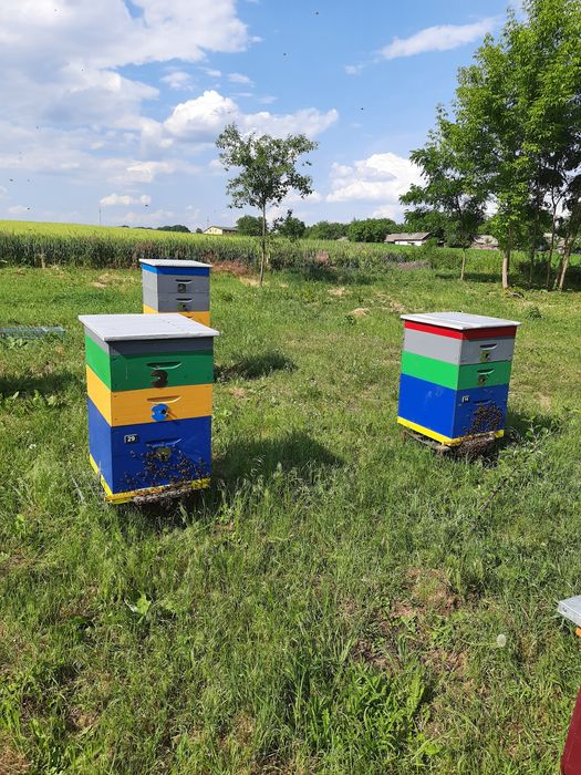 Вулики корпусні нові.