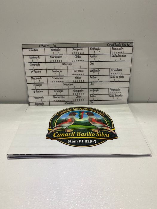 Registo de criação personalizado