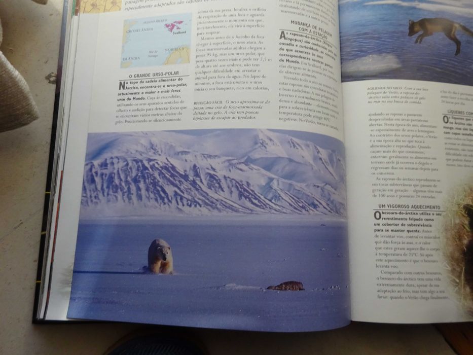 1.001 Maravilhas da Natureza