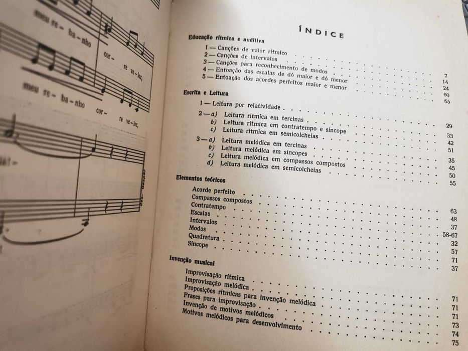 O Livro do Pequeno Cantor - Rui Barral