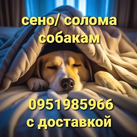ДОСТАВКА ОТ 1 ШТ  сено сіно в тюках мешках (люцерны и др). По наличию.
