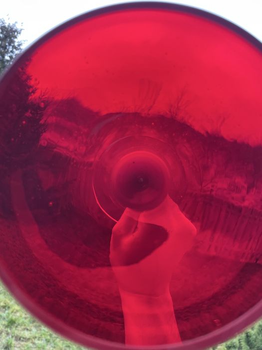 Rubinowy Kielich Z. Horbowy / Antico