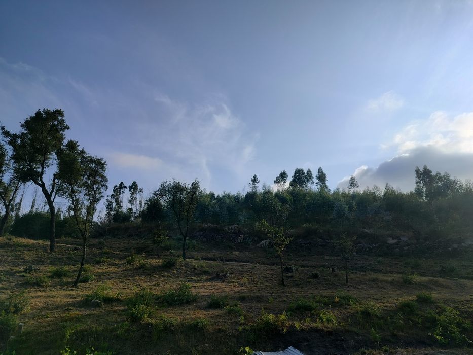 terreno para viver em off grid