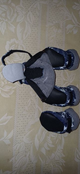 Зимняя обувь для собак