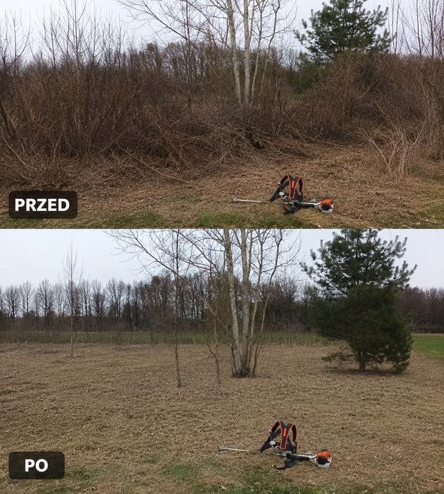 Porządkowanie działek, koszenie, wycinka, rębak