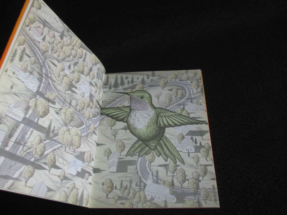 Livro Não há longe nem distância Richard Bach