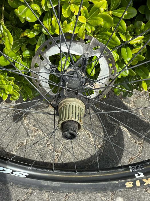 Rodas 29 REYNOLDS Carbono 289 309 XC
