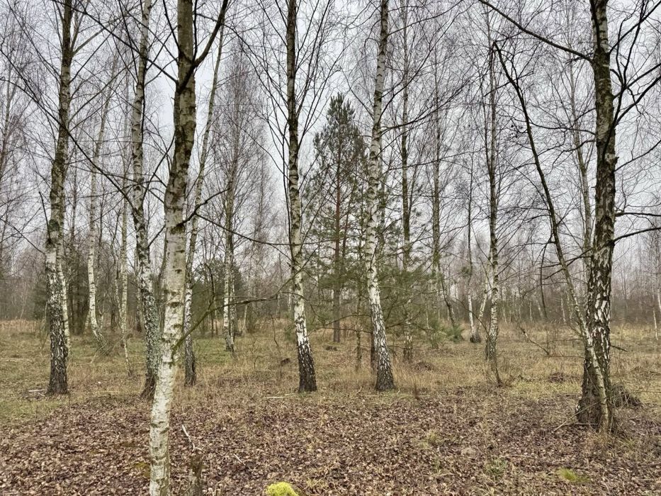 Земельна ділянка 6,9 Га!!! Калинівка !