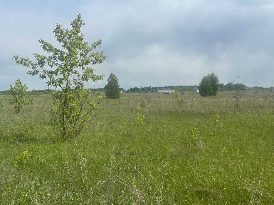 Продам ділянку в Нових Петрівцях. Вишгородський р-н - View 6