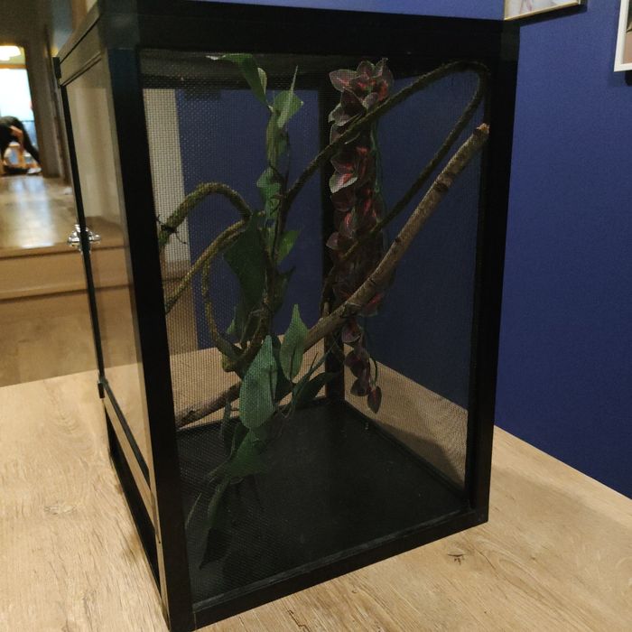 Terrarium flexarium ToxiRium  kameleona jaszczurki pająka 32x32x46 cm
