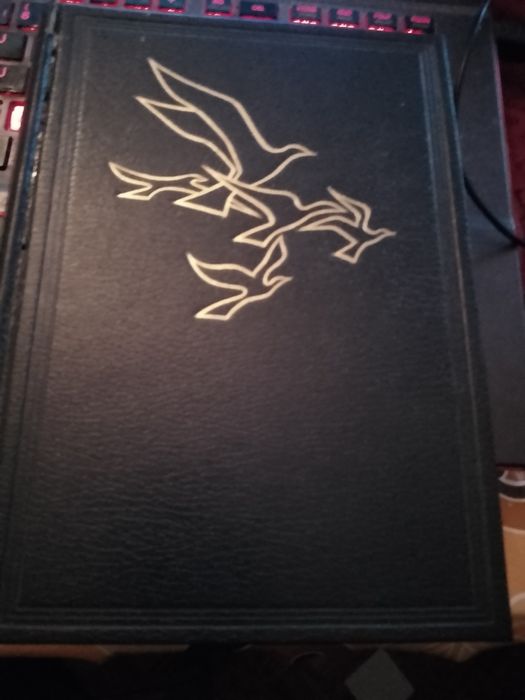 31Cartões Escolas inauguradas 2010 cada3Eou31-15E-Polo Homem-3EDesde3E