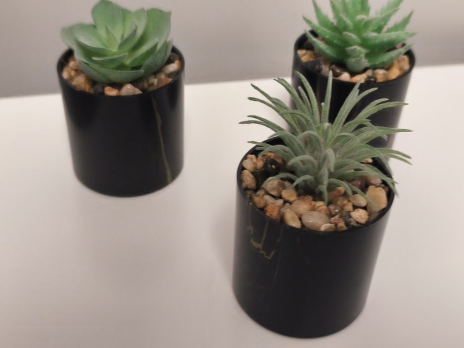 Conjunto de 3 Pequenos Cactos - Decoração Premium Preto / / Dourado