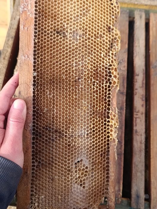 3- з корпусний вулик з рамками