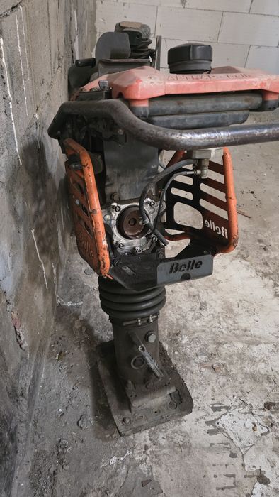 Skoczek Belle Altrad