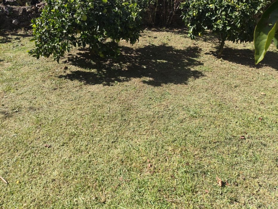 Jardinagem Geral