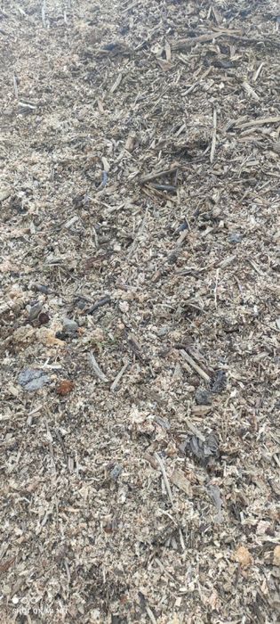 Zrębka / Trociny / Kora sosnowa