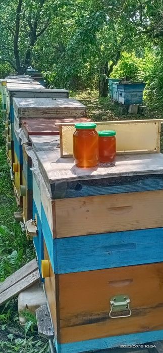 Продам улья , сушь , 300 дадан , 145 корпуса - фальцевые
