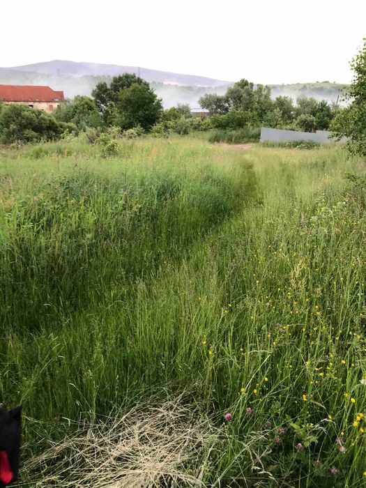 Земельна ділянка 31 сот. під забудову Закарпаття, смт Чинадієво