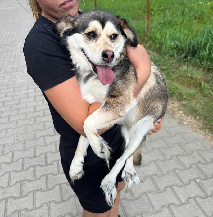 2,5 roczna malutka Leja do adopcji