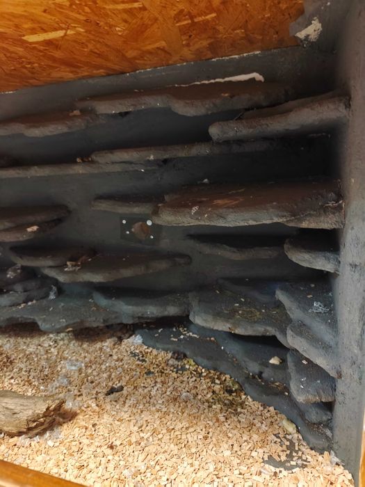 Terrarium z ścianką