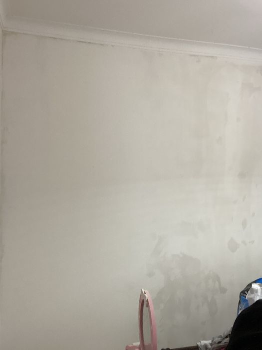 Todo tipo de trabalhos, desde canalizacao, eletrecidade… pintura