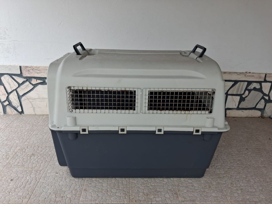 Caixa para transporte de cães
