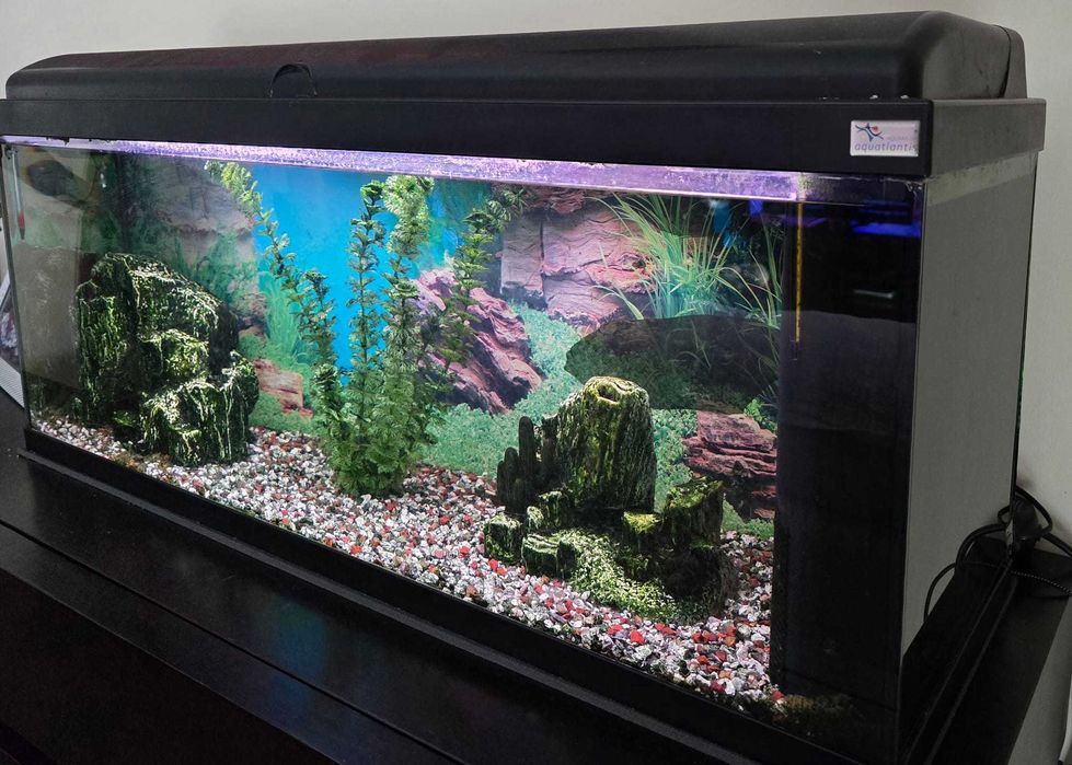 Aquário Aquatlantis Aquardream 100