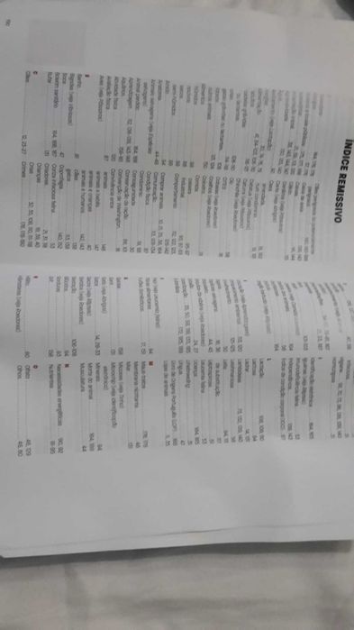 CAES GATOS E OUTRAS Companhias. Conselhos 192 Pag. 6 Fotos