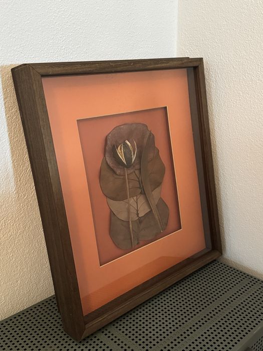 Decorative Frames442369222944368641