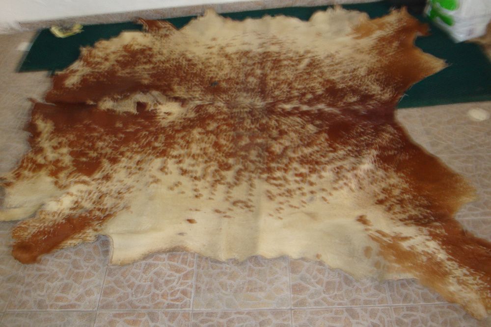 Pele de Boi raça zebuína c/ imagem exótica