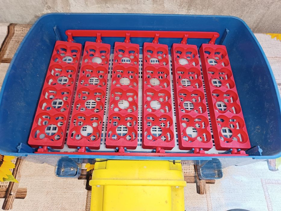 Chocadeira de 24 ovos automática