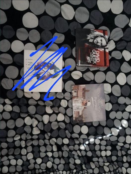 Płyty CD znanych wykonawców