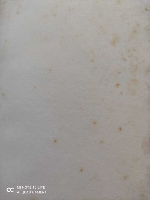 Bel Ami de Guy de Maupassant