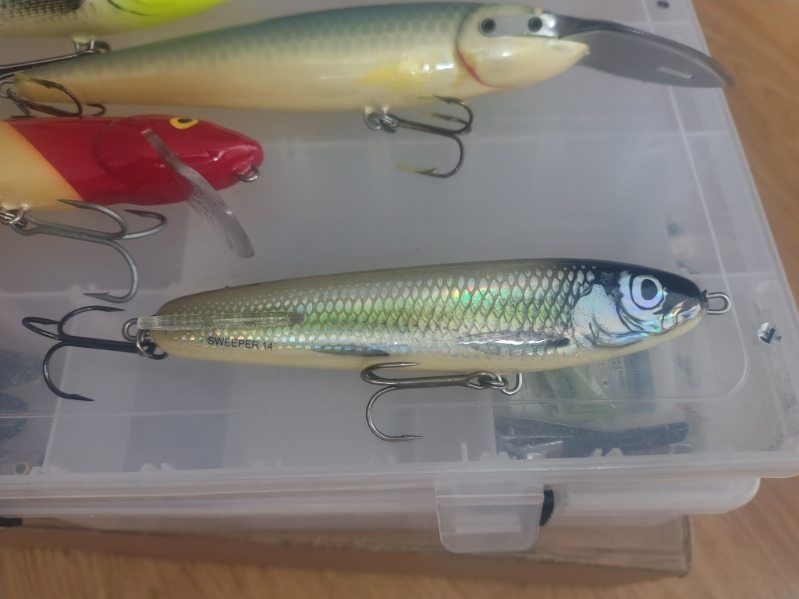 Salmo Whitefish Sweeper Slider