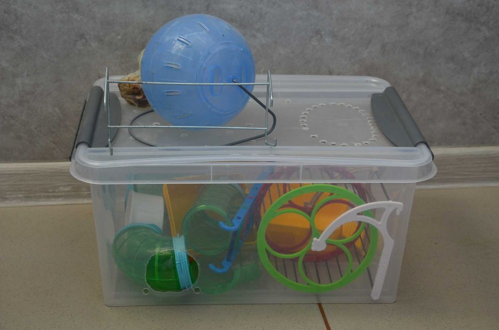 Принадлежности для хомяка