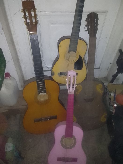 4 violas para restaurar