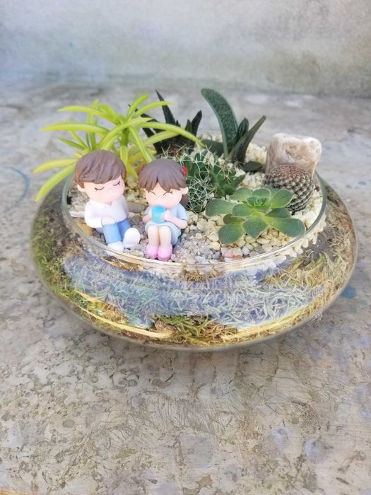 Arranjo de Suculenta