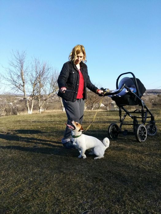 Вязка джек Рассел терьер Оринин, Камʼянець-Подільський район