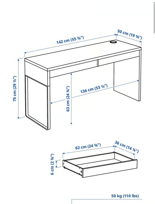 Secretária Miicke Ikeaa