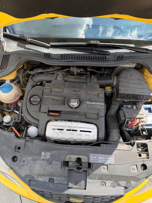 Seat Ibiza Cupra 2010