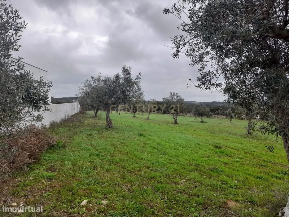 Terreno com 58 m Frente a 3 Km da Cidade de  Fátima