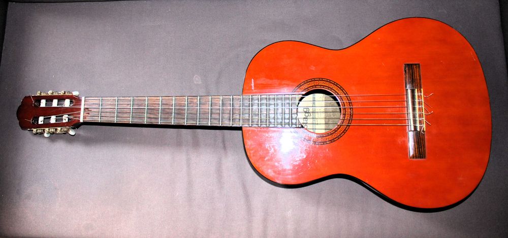 Viola Acústica Stagg