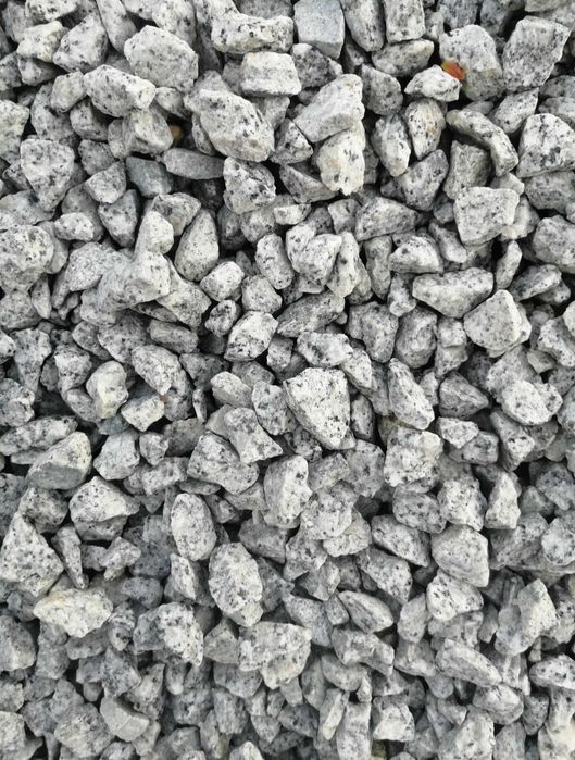 Promocjia dalmatyńczyk kamień granitowy 16-22