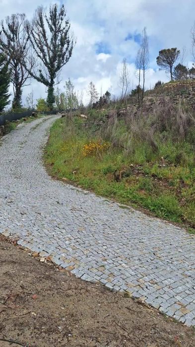 Bouça em Balde sta Leocádia-Baião