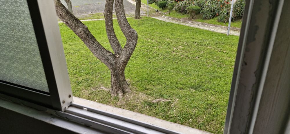 Anexo t1 para alugar 700€