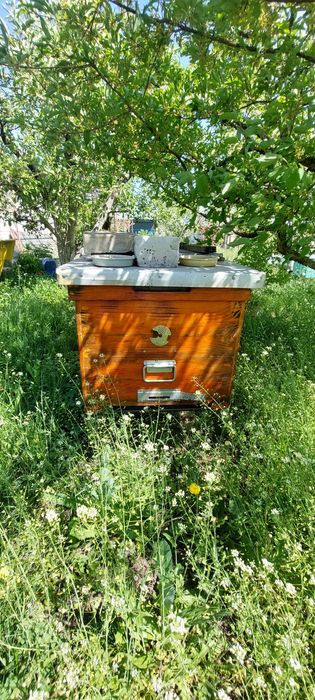 Вулики і підстави під них