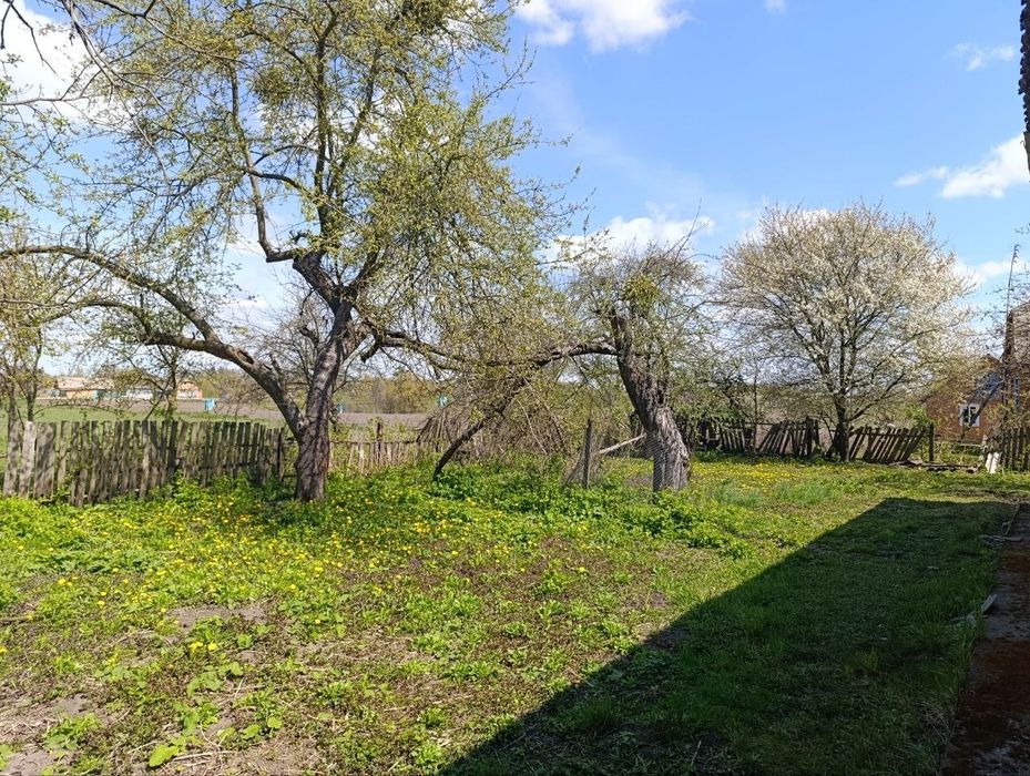 Продам будинок  село П'ятка