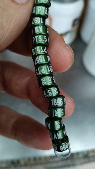 Canários,diamantes gold,mandarins,caturras bravas e domesticadas